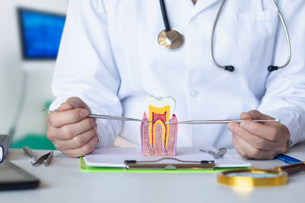 Best Emergency Orthodontic Services in Kimball, NE